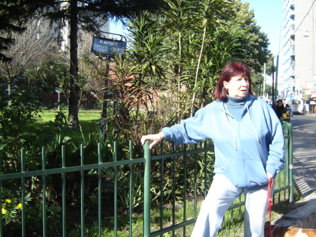DSC03265