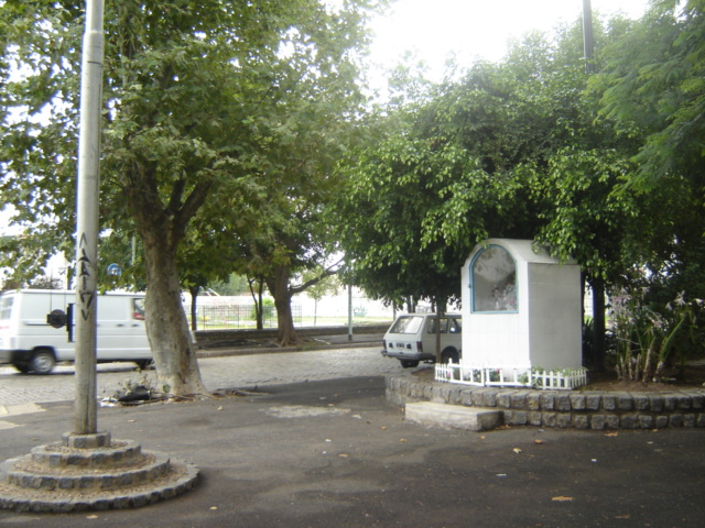 DSC07042