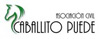 Asoc. Civil Caballito Puede