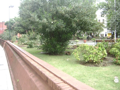 vista 1