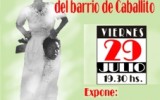 CHARLA JULIO 2011 2