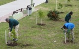 plaza plantas 2