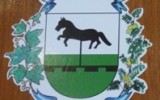 0 1 emblemas 01 CHIQUITO