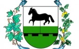 0 1 emblemas caballito chico