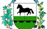 Escudo Caballito definitivo chico