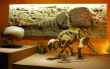 museo ds 1 museo ds 1