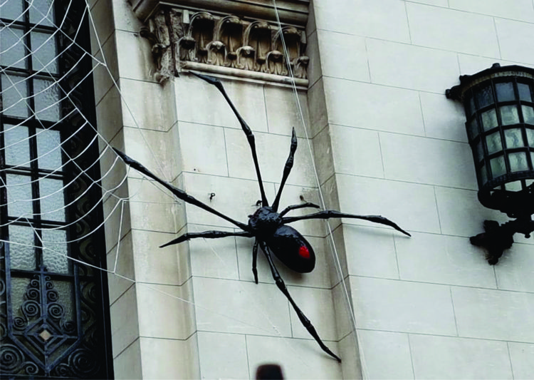 “Una araña en el Museo” de Gastón Fernández Rojo