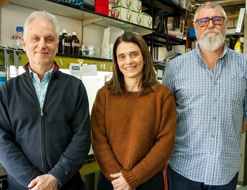 Osvaldo Podhajcer (izq.), Andrea Llera y Eduardo Cafferata, investigadores del Instituto Leloir y del CONICET.