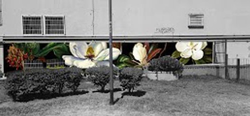 Opción Magnolia